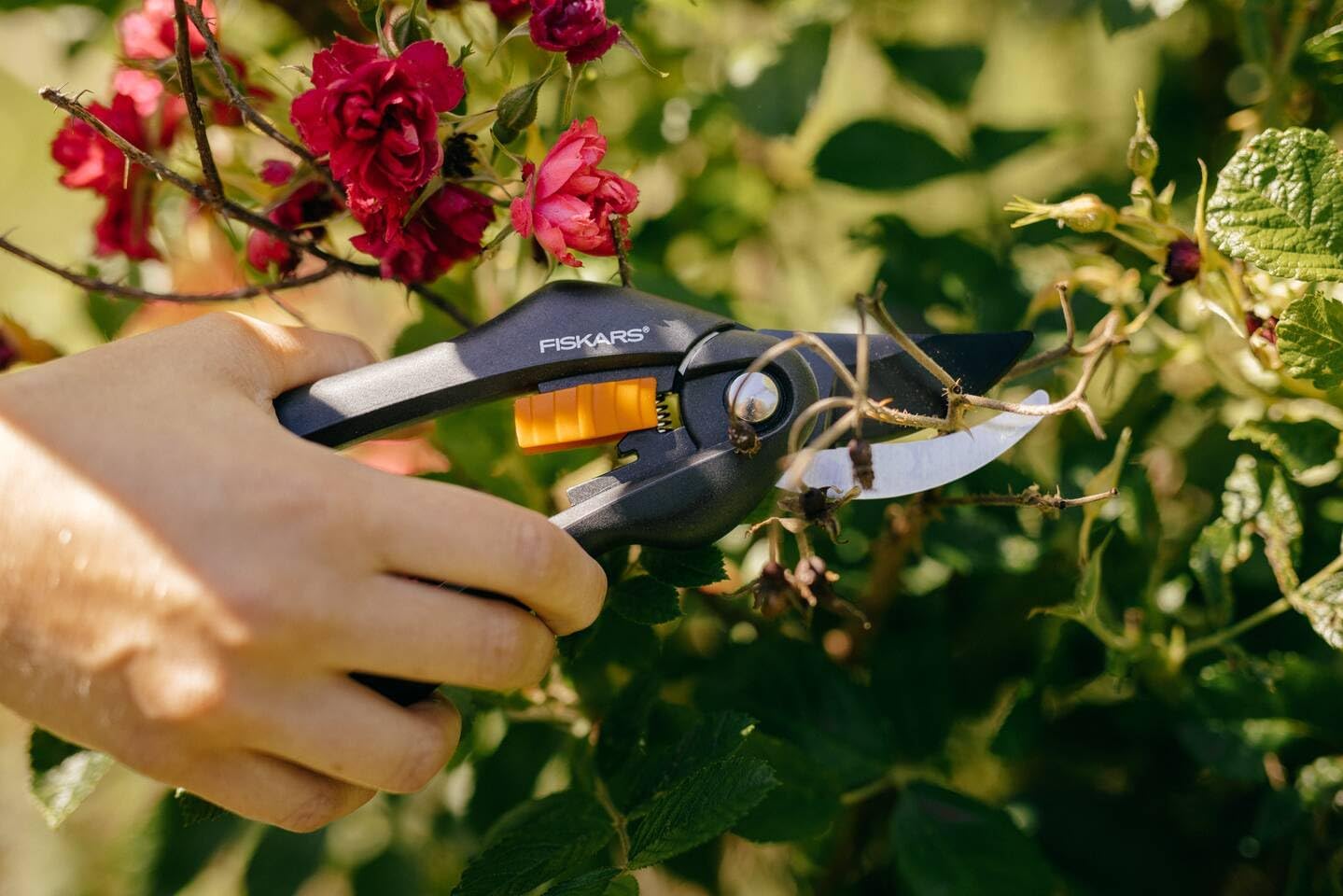 Fiskars Bypass-Gartenschere für frische Äste und Zweige, Antihaftbeschichtet, Hochwertige Stahl-Klingen, Länge: 20 cm, Schwarz/Orange, SingleStep, P26, 1000567